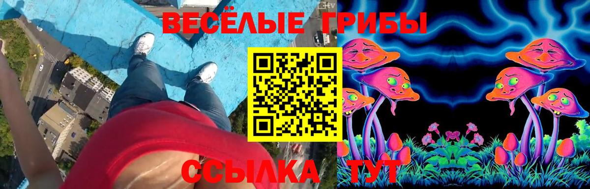 Псилоцибиновые грибы прущие грибы  Вход с VPN  Псилоцибиновые грибы GOLDEN TEACHER  Полевской 